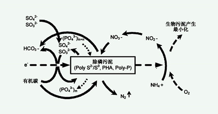 四種主要的生物脫氮工藝（生物脫氮的過(guò)程及原理）