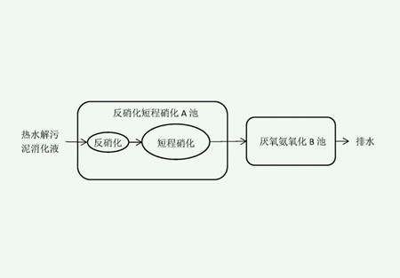 短程硝化反硝化原理（短程硝化反硝化和厭氧氨氧化區(qū)別）