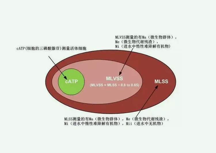 mlss是什么意思|測(cè)定方法（mlss和mlvss的區(qū)別在哪里）